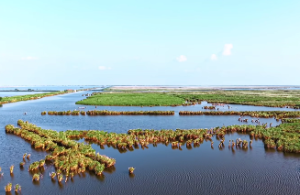  男金女火的夫妻谁旺谁