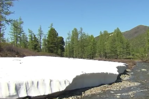君子在野怎么啦