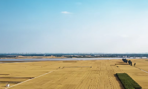  易经火天大有卦白话注解