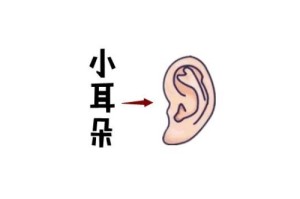 女人命苦的五种耳朵是什么