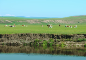 手机号码测吉凶有几种方法
