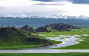 十神生克关系怎么理解