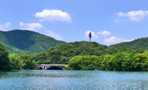 海中金命是好是坏