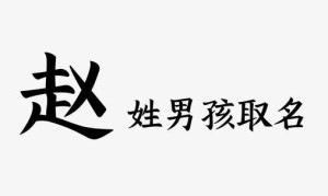 男宝宝赵姓霸气名字