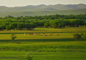 廉贞和七杀在命宫