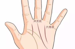 霸王线和三奇纹手相区别在哪