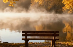 大林木路旁土命相克吗