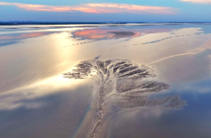 地支合会多说明什么