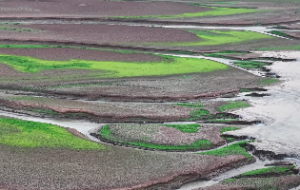 山头火和火命能在一起吗