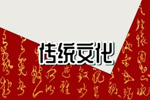 梦到自己头发掉了好多,头上长好多虫子是怎么回事