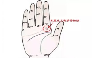木星丘上的各种纹代表的意思是什么