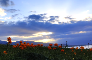 厨房风水布局有什么讲究