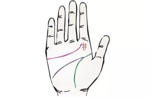 木星丘有口字纹代表什么