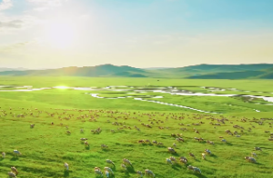 紫薇正曜吉曜有哪些