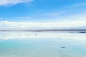 沙中土命几月生不好