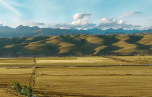 八字看财的来源