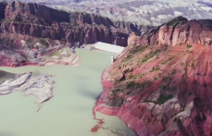 日干与全局干支