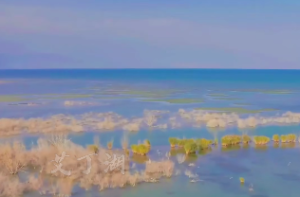 火水未济卦对财运的启示