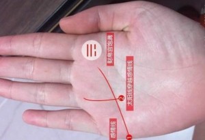 无名指下面的竖线代表什么手相命运