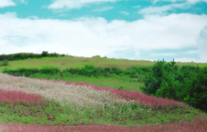 白蜡金命不适合干什么工作