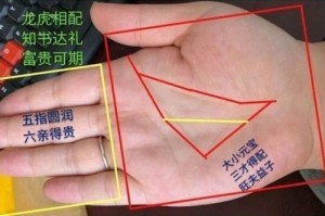 女人元宝纹手相的命运