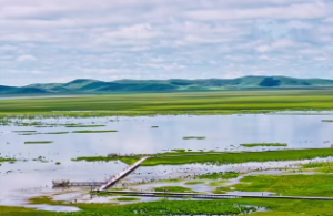 天干合化主事理解记忆