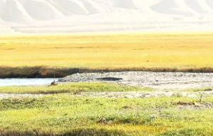 十天干所对应的身体部位