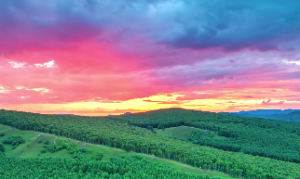 十二地支中水火燥湿是什么意思？