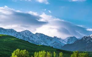 天同星对应什么星座