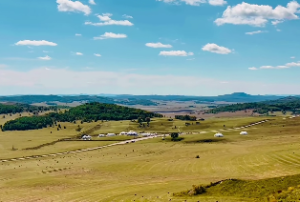 大海水命发财方向
