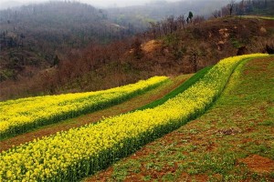 丑时是什么时间