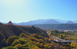 戌时出生的女孩旺夫吗