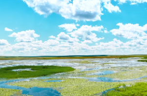 红鸾与咸池是否相同