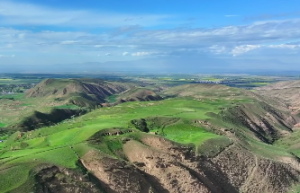 卯时最旺三个属相