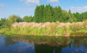 庚金遇什么能发大财