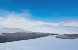 主星化忌什么意思