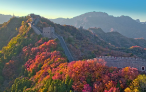 财神爷基本摆放禁忌