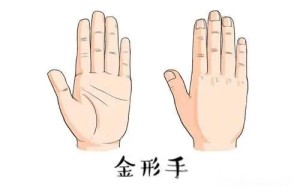 金形手的手相咋样