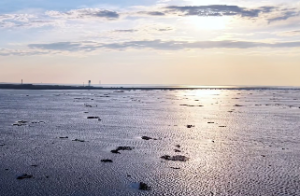 紫微斗数命宫详解看你命运如何