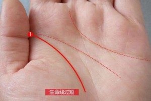 生命线只到一半会寿命很短吗