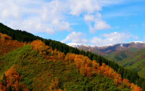  白蜡金命旺夫吗