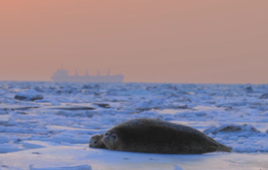 属马男人最怕女人什么