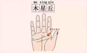 木星丘隆起说明什么