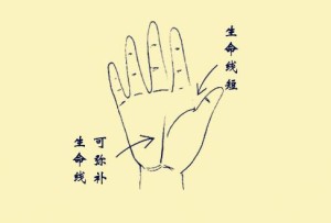 手相的生命线短代表寿命短吗