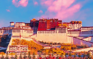 地支合化的基本知识