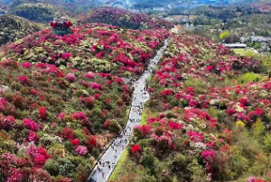 遇到同月同日的人有什么说法