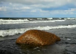 紫微斗数命宫无主星代表什么