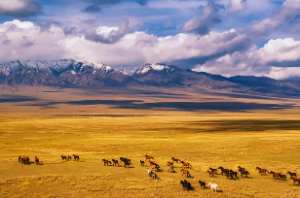 天梁星代表身体哪个部位