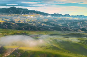 八字印格是什么