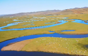 四柱取象信息大全